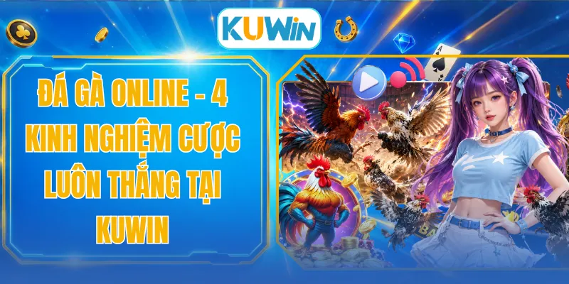 Đá Gà Online - 4 Kinh Nghiệm Cược Luôn Thắng Tại KUWIN