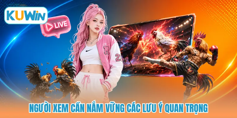 Người xem cần nắm vững các lưu ý quan trọng